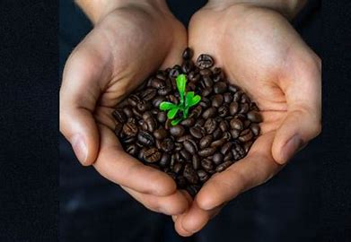 Why Coffee Consumption Is Growing in Popularity